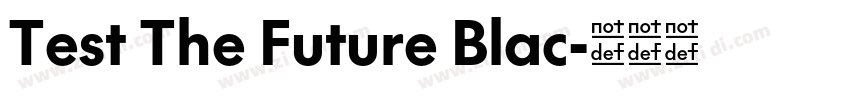 Test The Future Blac字体转换